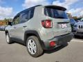 2020 Sting-Gray Jeep Renegade Limited 4x4  photo #6