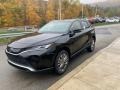 Celestial Black - Venza Hybrid XLE AWD Photo No. 7