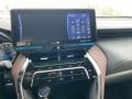 Celestial Black - Venza Hybrid XLE AWD Photo No. 14