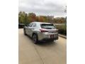 Atomic Silver - UX 250h AWD Photo No. 4