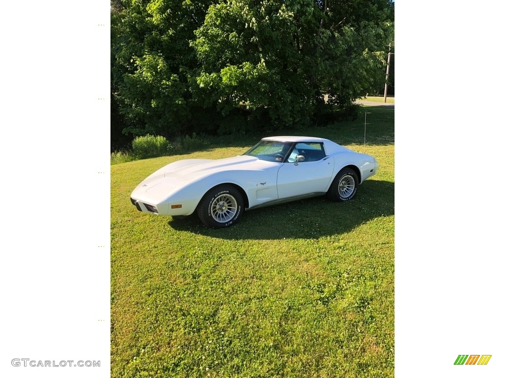 1977 Corvette Coupe - Classic White / Blue photo #1