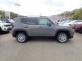 Sting-Gray - Renegade Latitude 4x4 Photo No. 4