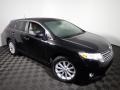 2009 Black Toyota Venza I4  photo #2