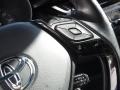 Magnetic Gray Metallic - C-HR XLE Photo No. 6