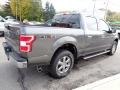 Magnetic - F150 XLT SuperCrew 4x4 Photo No. 5