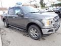 Magnetic - F150 XLT SuperCrew 4x4 Photo No. 7