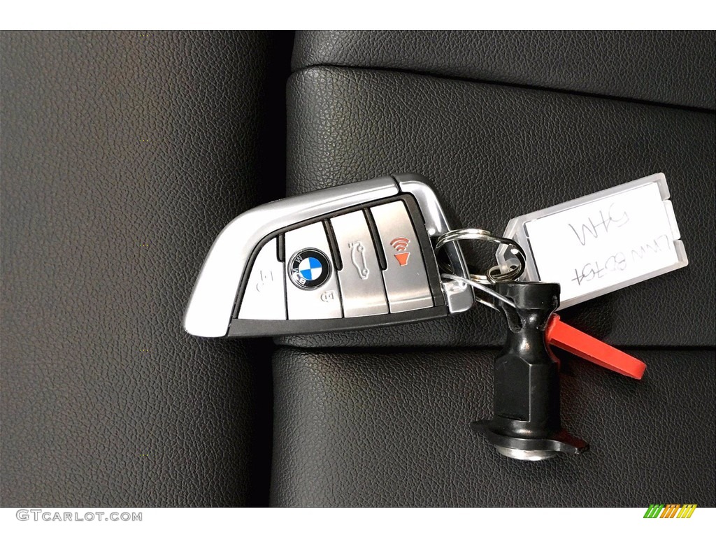 2020 BMW 5 Series 530i Sedan Keys Photo #139959442