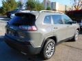 Sting-Gray - Cherokee Latitude Lux 4x4 Photo No. 5