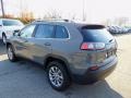 Sting-Gray - Cherokee Latitude Lux 4x4 Photo No. 8