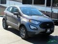 2020 Smoke Metallic Ford EcoSport S 4WD  photo #8