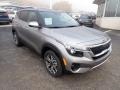Steel Gray - Seltos EX AWD Photo No. 3