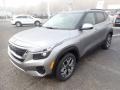 Steel Gray - Seltos EX AWD Photo No. 5