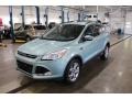 2013 Frosted Glass Metallic Ford Escape SEL 2.0L EcoBoost 4WD #139955308