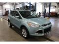 2013 Frosted Glass Metallic Ford Escape SEL 2.0L EcoBoost 4WD  photo #3