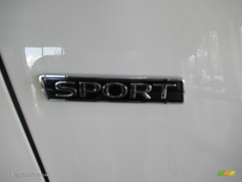 2014 Volkswagen Passat 1.8T Sport Marks and Logos Photo #139967675