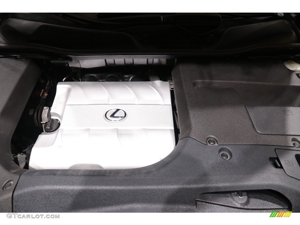 2010 RX 350 AWD - Black Sapphire Pearl / Light Gray/Espresso Birds-Eye Maple photo #23