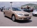 Mystic Gold Metallic - ES 300 Photo No. 1