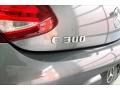 Selenite Grey Metallic - C 300 Coupe Photo No. 31