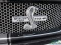 Agate Black - F150 Shelby Cobra Edition SuperCrew 4x4 Photo No. 36