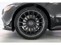 2021 Mercedes-Benz AMG GT 53 Wheel and Tire Photo