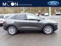 Magnetic Metallic 2020 Ford Escape SE 4WD