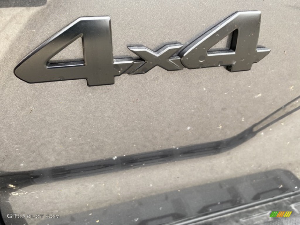 2020 Tacoma SX Access Cab 4x4 - Magnetic Gray Metallic / Cement photo #20