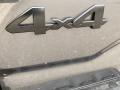 2020 Magnetic Gray Metallic Toyota Tacoma SX Access Cab 4x4  photo #20