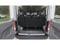 Dark Palazzo Grey Trunk Photo for 2020 Ford Transit #139996889