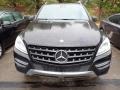Black - ML 350 4Matic Photo No. 2