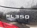 Black - ML 350 4Matic Photo No. 5