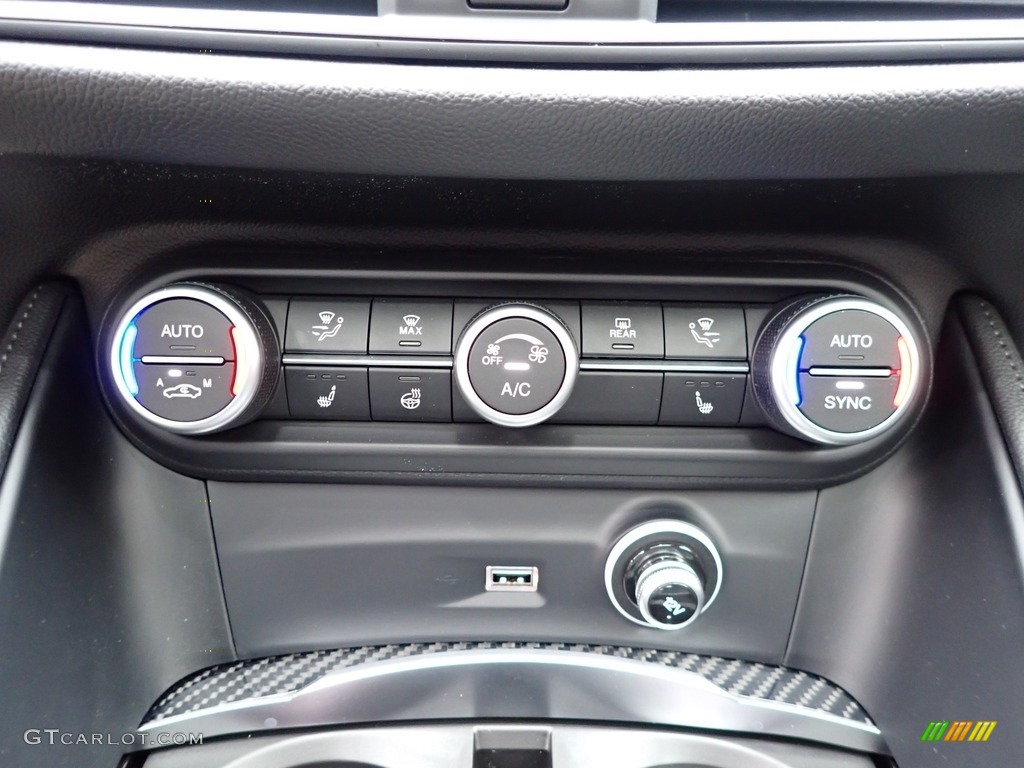 2020 Alfa Romeo Stelvio TI Sport Carbon AWD Controls Photo #139998644