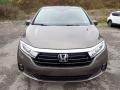 Pacific Pewter Metallic - Odyssey EX-L Photo No. 7