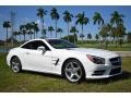 Polar White - SL 550 Roadster Photo No. 15