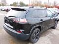 Diamond Black Crystal Pearl - Cherokee Altitude 4x4 Photo No. 5