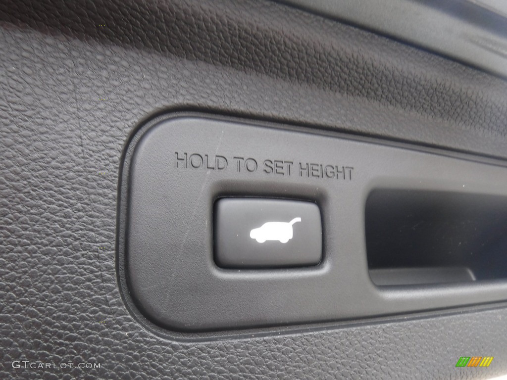 2019 Odyssey EX-L - Forest Mist Metallic / Beige photo #31