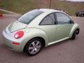 Gecko Green Metallic - New Beetle 2.5 Coupe Photo No. 10