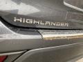 Magnetic Gray Metallic - Highlander Hybrid Limited AWD Photo No. 37
