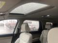 Beige Sunroof Photo for 2021 Hyundai Palisade #140024150