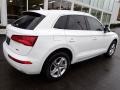 2019 Ibis White Audi Q5 Premium quattro  photo #3