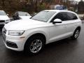 2019 Ibis White Audi Q5 Premium quattro  photo #8