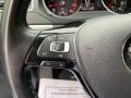 Platinum Gray Metallic - Jetta SE Photo No. 12