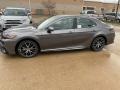 Predawn Gray Mica - Camry SE Photo No. 1