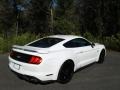 2019 Oxford White Ford Mustang GT Fastback  photo #6