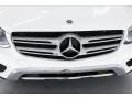 Polar White - GLC 300 Photo No. 30