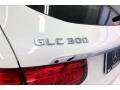 Polar White - GLC 300 Photo No. 31
