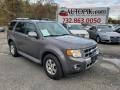 2012 Sterling Gray Metallic Ford Escape Limited 4WD  photo #1