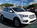 2019 Oxford White Ford Escape SE  photo #2