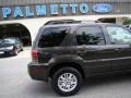 Charcoal Beige Metallic - Mariner Premier 4WD Photo No. 25