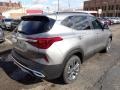 Steel Gray - Seltos S AWD Photo No. 2