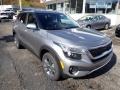 Steel Gray - Seltos S AWD Photo No. 3